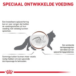 Royal Canin Fibre Response Kat -Selecteer Dierenwinkels 0tMp9E3fvJRC05dRih0UwBDsli36jA metaR0FTVFJPSU5URVNUSU5BTC1GSUJSRS1SRVNQT05TRS0zLmpwZw