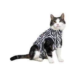 Medical Pet Shirt Kat Zebra -Selecteer Dierenwinkels 12375e5007fecb342891a8522231587ac3dad9297d06c05a69bcea4e66a192dd 3