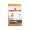 Royal Canin Cocker Puppy - Hondenvoer 2 Royal Canin Cocker Puppy - Hondenvoer -Selecteer Dierenwinkels 139660b7d4c3f7b3e669646bc66d96e0e43befc75073da92ec7f60325929141e 3