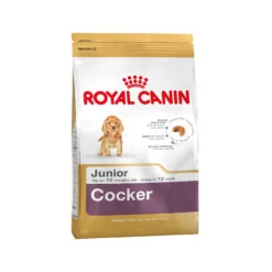 Royal Canin Cocker Puppy - Hondenvoer 21 Royal Canin Cocker Puppy - Hondenvoer -Selecteer Dierenwinkels 139660b7d4c3f7b3e669646bc66d96e0e43befc75073da92ec7f60325929141e 3 5