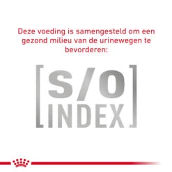 Royal Canin Fibre Response Kat -Selecteer Dierenwinkels 3LFgwyqpm3Oi3IxfenULcOzRnKFgGj metaR0FTVFJPSU5URVNUSU5BTC1GSUJSRS1SRVNQT05TRS02LmpwZw