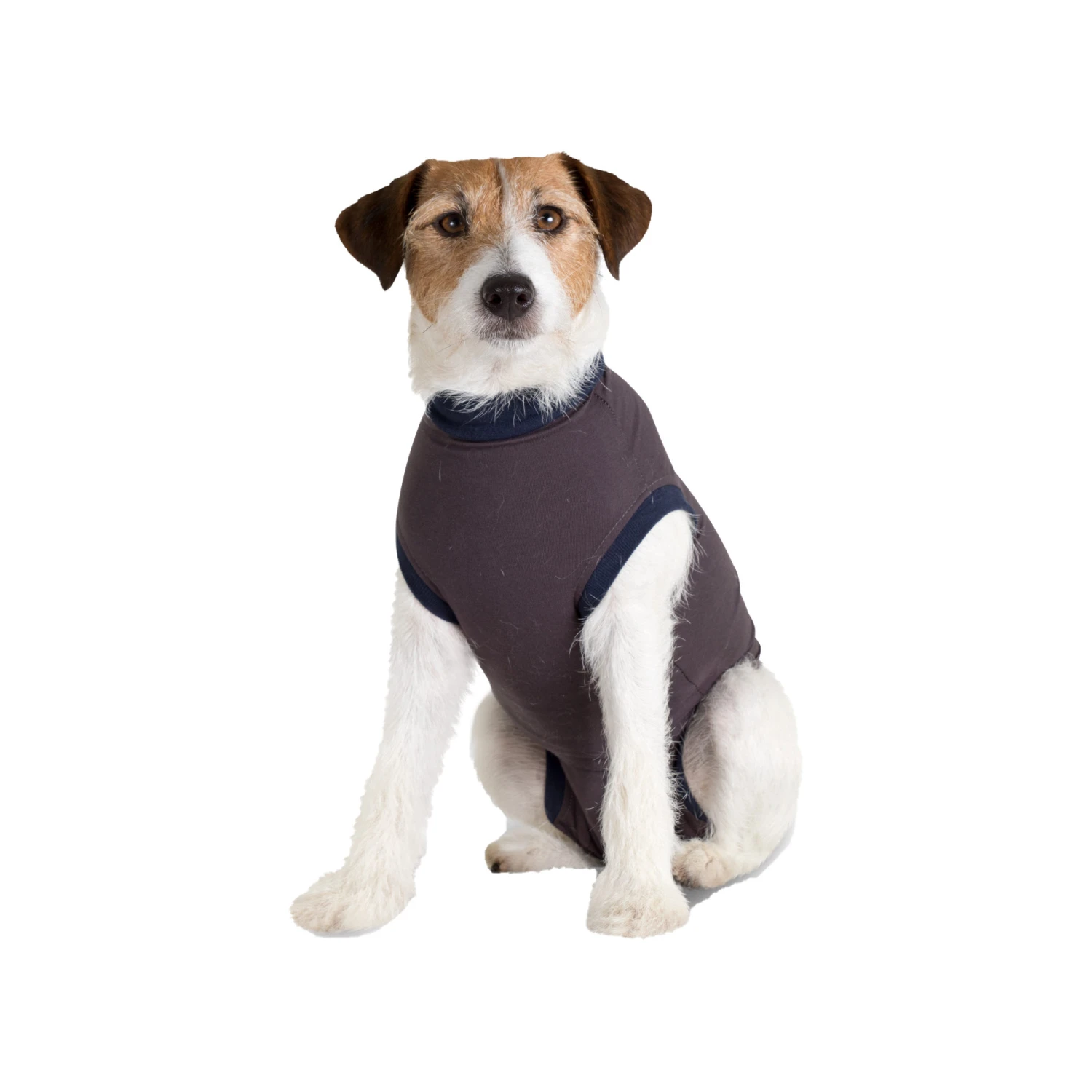 Jacketz Medical Body Suit Hond 22 Jacketz Medical Body Suit Hond - Image 20