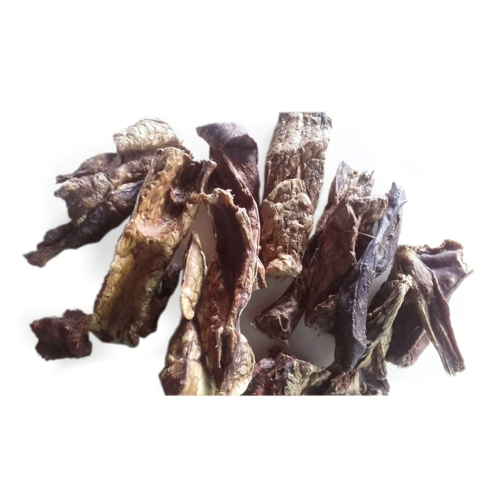 Competition Lamslongen 5 Competition Lamslongen - Image 3