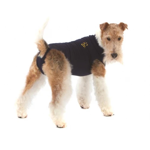 Medical Pet Shirt Hond 7 Medical Pet Shirt Hond - Image 5