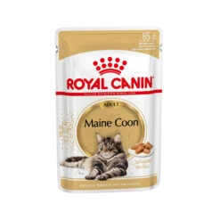 Royal Canin Maine Coon Adult Wet - Kattenvoer 19 Royal Canin Maine Coon Adult Wet - Kattenvoer -Selecteer Dierenwinkels 4897b2da9aa44f6252042cddf2979d0153e395bbf7e7260c5c9bc97f7ea715e6 3 5