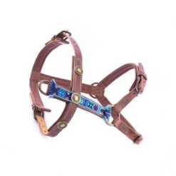 DWAM Hondentuigje Boho Juan -Selecteer Dierenwinkels 4a136a178673ebb6998174c8da4d58d21714564dd3a8bc41f3efa5480e657e5d 3