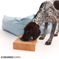 51 Degrees North Voerbak Teak High -Selecteer Dierenwinkels 51 degrees north voerbak teak high 211085 1000 none