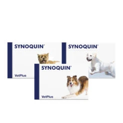 Vetplus Synoquin 11 Vetplus Synoquin -Selecteer Dierenwinkels 65bLj7CCHqSsT3ugOvavvMhcREmwCf metaQ29tYmktU3lub3F1aW4uanBn