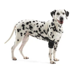 Kruuse Rehab Elleboogbeschermer 7 Kruuse Rehab Elleboogbeschermer -Selecteer Dierenwinkels 707a1307f57d4b5032cf99e3784b03141ed01b9c9317fa83ee1f29943ae9e06b 4