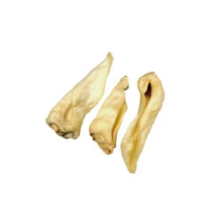 Competition Geitenoren Adult 7 Competition Geitenoren Adult -Selecteer Dierenwinkels 739152c17d3f9a966001e738d8accc97158ed8f8e8828c83c2652bad537110c2 3 5