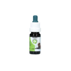Excellent HempOne Hond En Kat 13 Excellent HempOne Hond En Kat -Selecteer Dierenwinkels 8c48708c2fa86d5401958ddfe107c50aa7f6d03024de90cfaf796de9f6a32a84 4