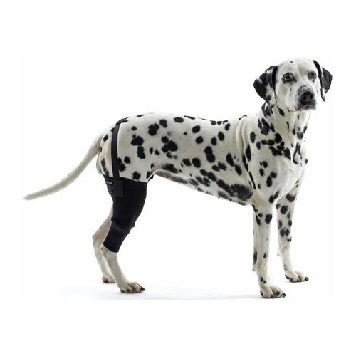 Kruuse Rehab Kniebeschermer 5 Kruuse Rehab Kniebeschermer - Image 3