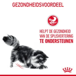 Royal Canin Digestive Care In Gravy - Kattenvoer -Selecteer Dierenwinkels ArELC5MRoxiyJSCYOslvuIRNg5AVhp metaUm95YWwtQ2FuaW4tRGlnZXN0aXZlLUNhcmVfMDEuanBn