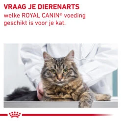 Royal Canin Fibre Response Kat -Selecteer Dierenwinkels BmGR1tfIZkXKMEzmmxcudUqHexxJqZ metaR0FTVFJPSU5URVNUSU5BTC1GSUJSRS1SRVNQT05TRS0xMC5qcGc