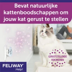 Feliway Help! -Selecteer Dierenwinkels Cn7Q3QiUqYkRHjY6Boh7Ai6HXU67UI metaRmVsaXdheS1IZWxwLUNhcm91c3NlbC01LmpwZw