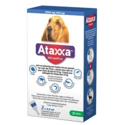 Ataxxa -Selecteer Dierenwinkels OEkiP1PzLbLs2uZDMFYea3ds08zfRo metaYm92ZW4tMjUta2cuanBn