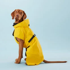 PAIKKA Visibility Raincoat Lite Yellow 11 PAIKKA Visibility Raincoat Lite Yellow -Selecteer Dierenwinkels PClMHEr7OU9sOGs5uS5yRaglBqAzmp metaUGFpa2thLVZpc2liaWxpdHktUmFpbmNvYXQtTGl0ZS1ZZWxsb3czLmpwZw