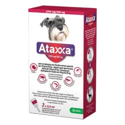 Ataxxa -Selecteer Dierenwinkels S40n6d21DzYQHtLa7xvz3dTp8Pk0OA metaMTAtMjUta2cuanBn