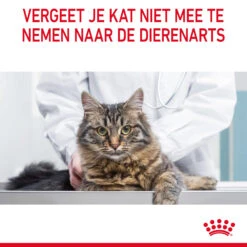 Royal Canin Digestive Care In Gravy - Kattenvoer -Selecteer Dierenwinkels TCTHbhcxJ1DLcyoBx0gQXZC3c7Q1nW metaUm95YWwtQ2FuaW4tVXJpbmFyeS1DYXJlLWluLUdyYXZ5XzA2LmpwZw