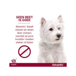 Advantix -Selecteer Dierenwinkels advantix 174187 0500 none