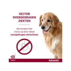 Advantix -Selecteer Dierenwinkels advantix 174193 0500 none