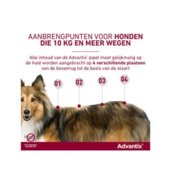 Advantix -Selecteer Dierenwinkels advantix 174199 0500 none