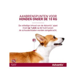 Advantix -Selecteer Dierenwinkels advantix 174202 0500 none