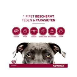 Advantix -Selecteer Dierenwinkels advantix 174205 0500 none