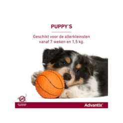 Advantix -Selecteer Dierenwinkels advantix 174208 0500 none