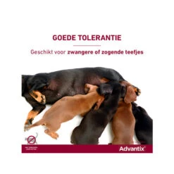 Advantix -Selecteer Dierenwinkels advantix 174214 0500 none