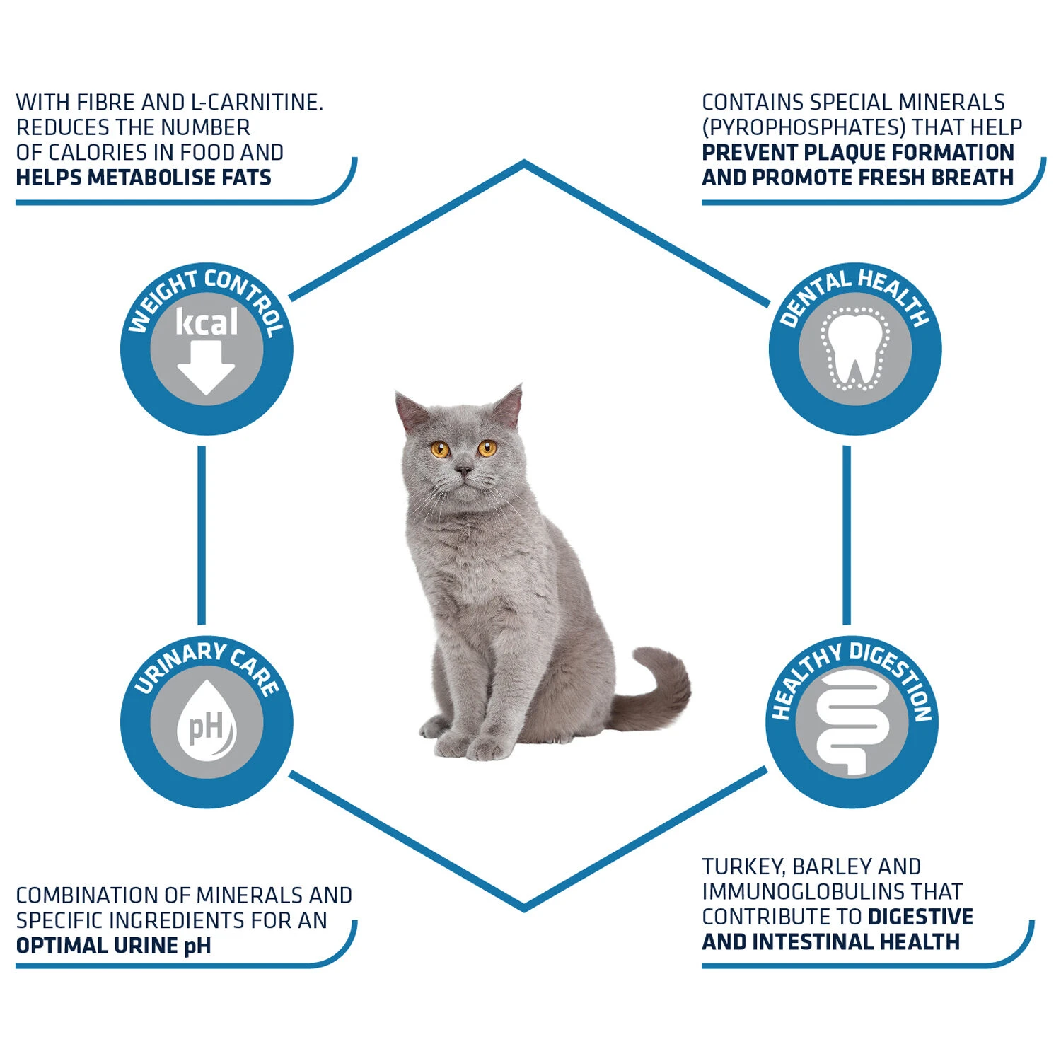 Affinity Advance Sterilized Kalkoen - Kat 6 Affinity Advance Sterilized Kalkoen - Kat - Image 4