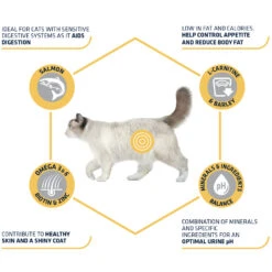 Affinity Advance Sterilized Salmon Sensitive - Kat 19 Affinity Advance Sterilized Salmon Sensitive - Kat -Selecteer Dierenwinkels affinity advance sterilized salmon sensitive kat 178282 1500 none