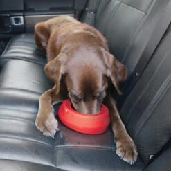 Kurgo Splash Free Wander Water Bowl -Selecteer Dierenwinkels altranet splash free wander water bowl 222778 0500 none