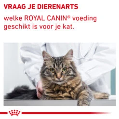 Royal Canin VCN - Mature Consult Balance - Cat - Maaltijdzakje 11 Royal Canin VCN - Mature Consult Balance - Cat - Maaltijdzakje -Selecteer Dierenwinkels auqYuMrpG2AEQj9IgtKtDMGtV3YXT4 metaTUFUVVJFLUNPTlNVTFQtQkFMQU5DRS04LmpwZw