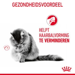 Royal Canin Hairball Care In Gravy - Kattenvoer 22 Royal Canin Hairball Care In Gravy - Kattenvoer -Selecteer Dierenwinkels b5BGZndEVRARBU6xTTXdGdZB9ZfBvZ metaUm95YWwtQ2FuaW4tSGFpcmJhbGwtQ2FyZS1pbi1HcmF2eV8wMi5qcGc