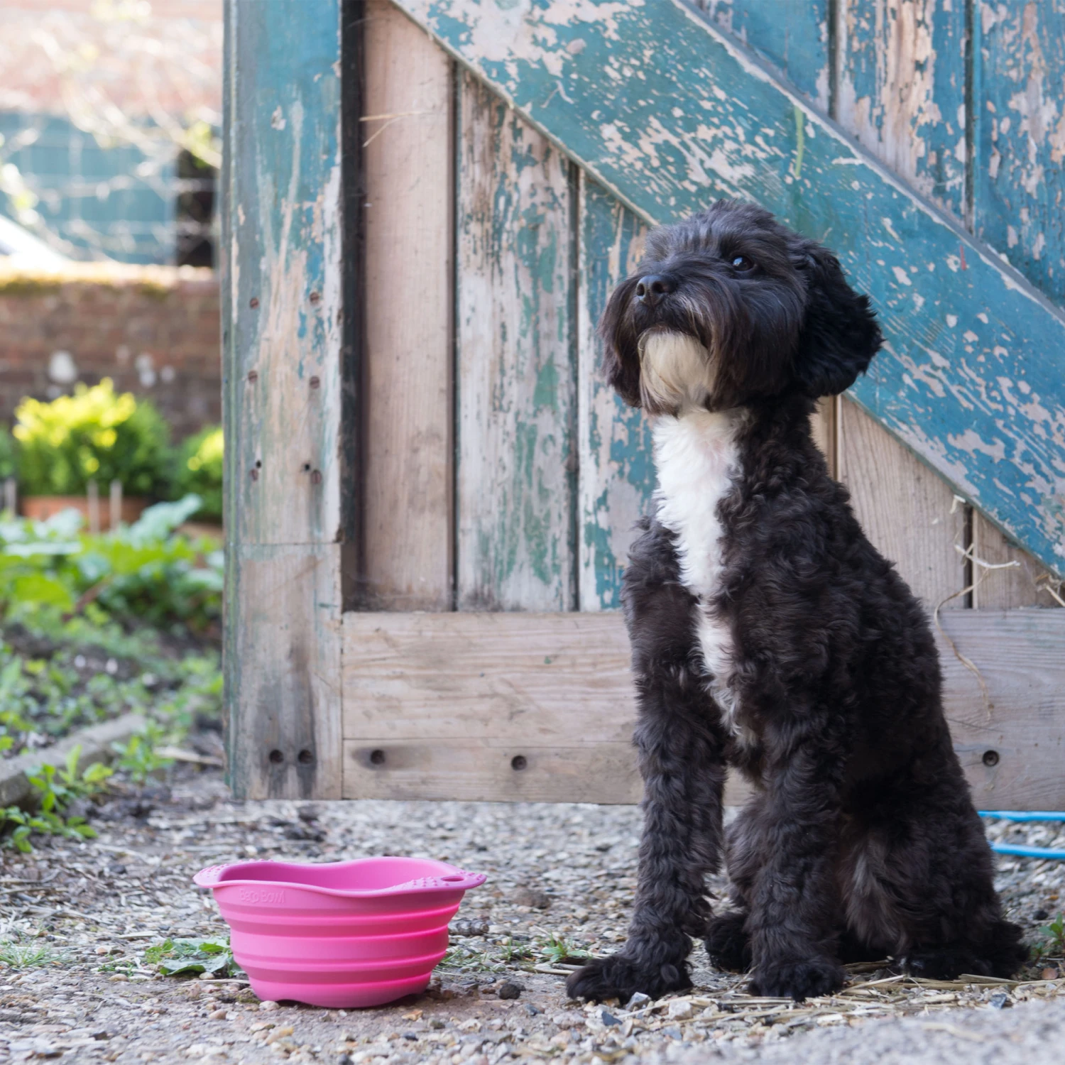 Beco Travel Bowl 13 Beco Travel Bowl - Image 11