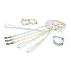 Beeztees Halsband & Lijn 13 Beeztees Halsband & Lijn -Selecteer Dierenwinkels beeztees halsband lijn 110050 0500 none