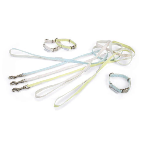 Beeztees Halsband & Lijn 8 Beeztees Halsband & Lijn - Image 6