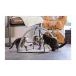 Beeztees Kitten Speelkleed Xabia -Selecteer Dierenwinkels beeztees kitten speelkleed xabia 216531 2000 none