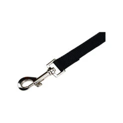 Beeztees Nylon Sliplijn -Selecteer Dierenwinkels beeztees nylon hondenriem 198527 2000 none