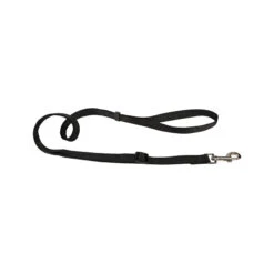 Beeztees Nylon Sliplijn -Selecteer Dierenwinkels beeztees nylon hondenriem 198530 2000 none