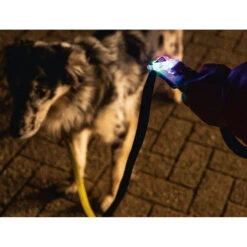 Beeztees Safety Gear Parinca Premium Hondenriem 18 Beeztees Safety Gear Parinca Premium Hondenriem -Selecteer Dierenwinkels beeztees safety gear parinca premium hondenriem 215036 2000 none