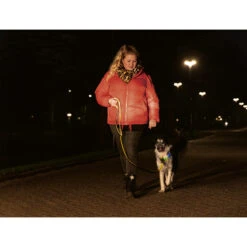 Beeztees Safety Gear Parinca Premium Hondenriem 21 Beeztees Safety Gear Parinca Premium Hondenriem -Selecteer Dierenwinkels beeztees safety gear parinca premium hondenriem 215042 2000 none