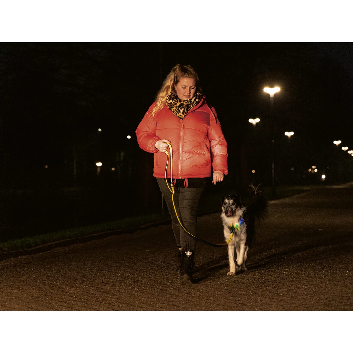 Beeztees Safety Gear Parinca Premium Hondenriem 12 Beeztees Safety Gear Parinca Premium Hondenriem - Image 10