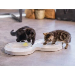 Beeztees Kitten Speelrail Agty -Selecteer Dierenwinkels beeztees speelrail agty 216522 2000 none