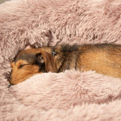 Beeztees Yali Pluche Donutmand -Selecteer Dierenwinkels beeztees yali pluche donutmand 216351 1000 none