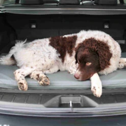 Bia Original Matras Zwart 12 Bia Original Matras Zwart -Selecteer Dierenwinkels bia original matras zwart 164062 0500 none