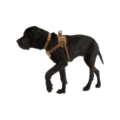Carhartt Work Dog Harness 16 Carhartt Work Dog Harness -Selecteer Dierenwinkels carhartt work dog harness 186805 1000 none