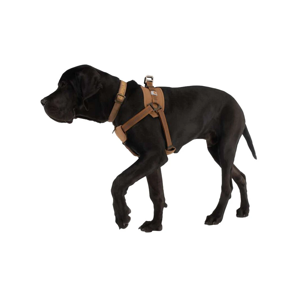 Carhartt Work Dog Harness 9 Carhartt Work Dog Harness - Afbeelding 7