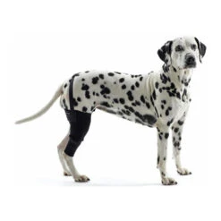 Kruuse Rehab Kniebeschermer 23 Kruuse Rehab Kniebeschermer -Selecteer Dierenwinkels cdca15870880a4df980fb86fda5f7c0c92c1a945ab52a9f5b2890079370ebd07 3